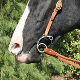 Professionals Choice Equisential Route 66 Bit Dogbone - FG Pro Shop Inc.